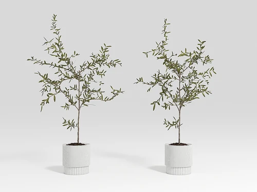 法式植物