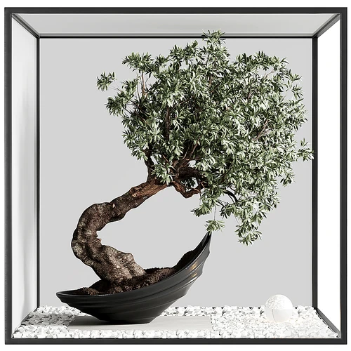 现代绿植景观绿植
