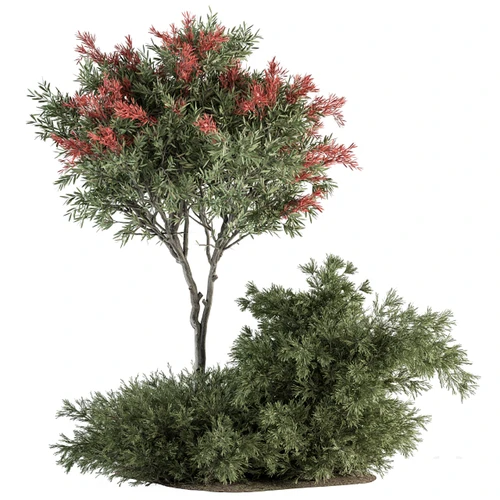 现代植物堆