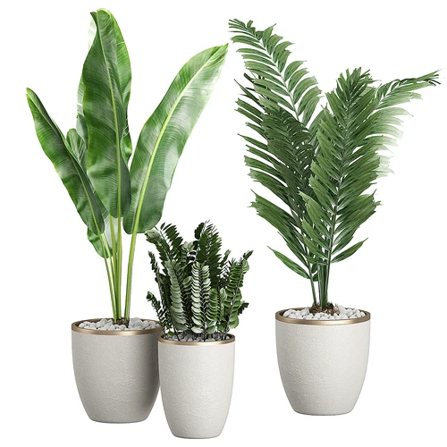 现代植物盆栽