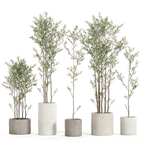 侘寂绿植盆栽