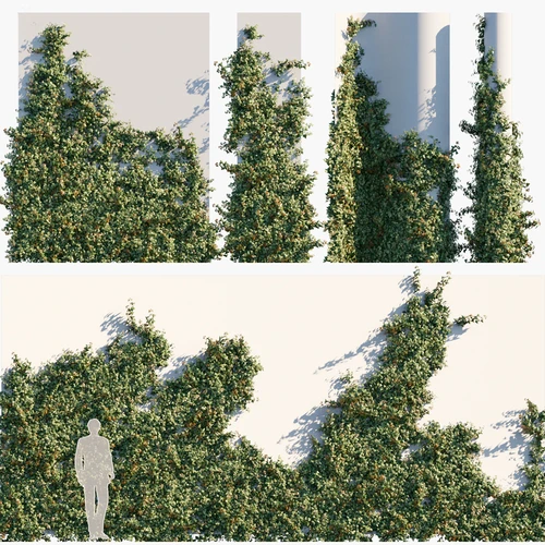 现代藤蔓植物墙