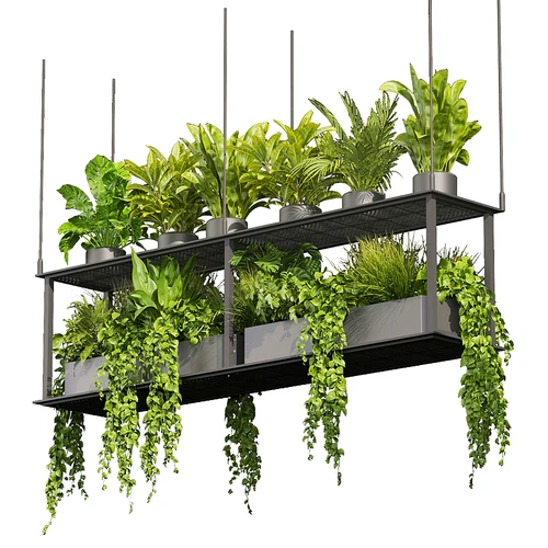 现代植物吊篮