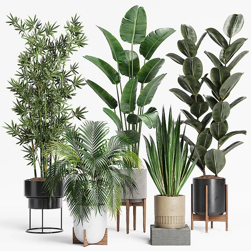 现代绿植 植物 盆栽 盆景 景观绿植