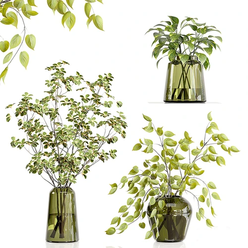 现代花瓶 水生植物 摆件 玻璃花瓶摆件 花卉