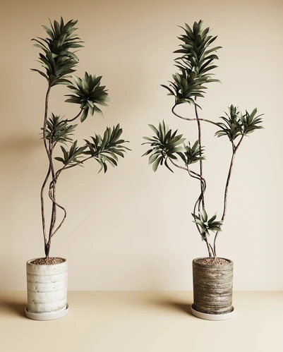 中古风绿植盆栽
