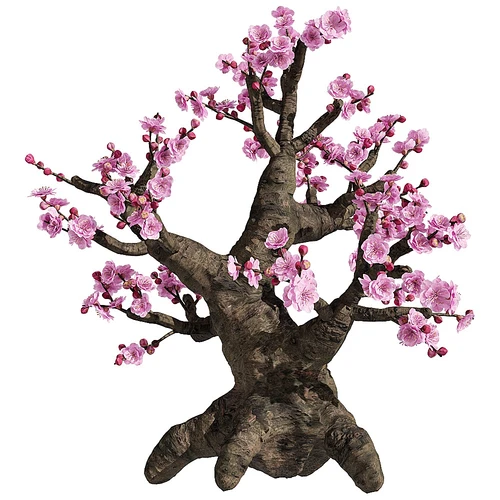 mume 美式桃花树18