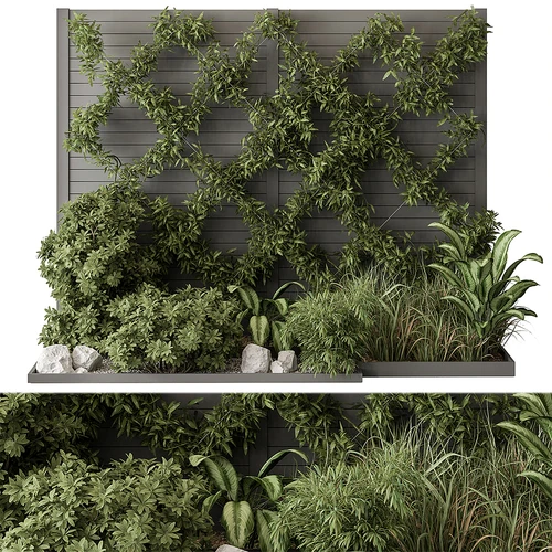 现代植物堆