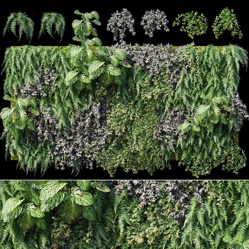 现代绿植植物墙