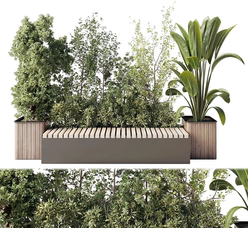 现代植物堆