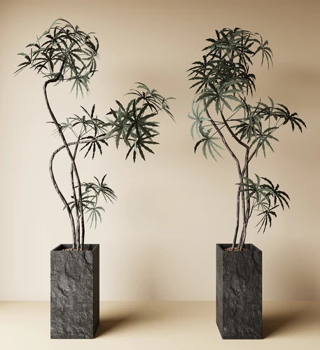 中古风绿植盆栽