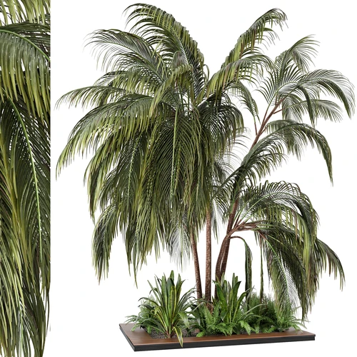 现代户外植物堆