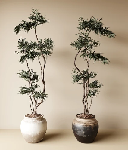 中古风绿植盆栽