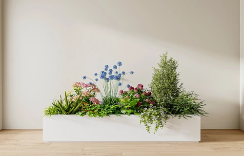 现代绿植盆栽