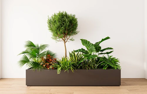 现代盆栽 植物堆
