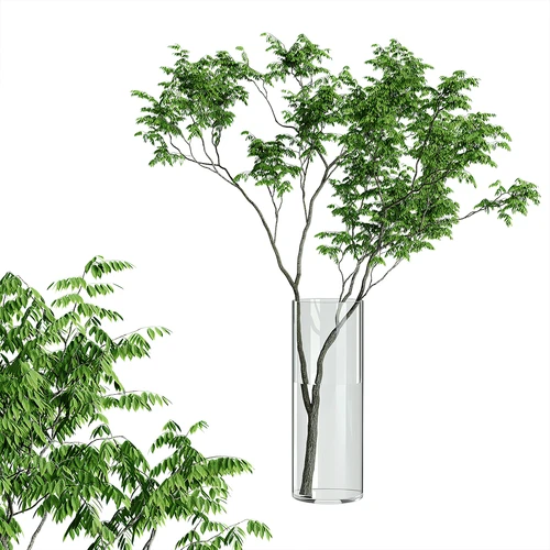 现代植物摆件