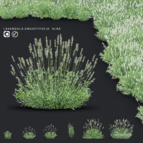 现代草丛植物堆