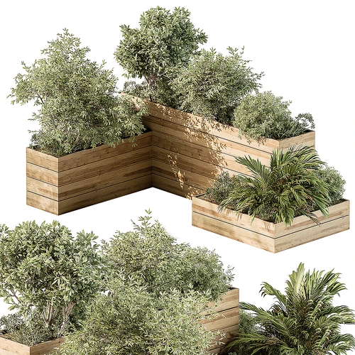 现代户外绿植盆栽