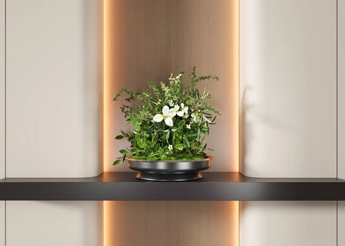 现代花艺盆栽