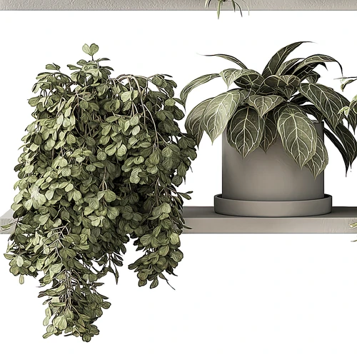 现代绿植盆栽3D模型