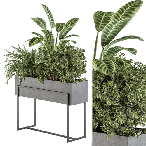 现代植物盆栽