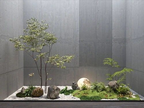 现代植物盆栽景观