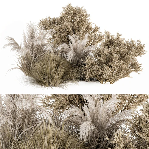现代芦苇植物堆