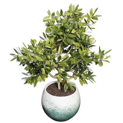 现代植物盆栽3D模型