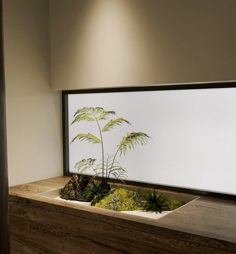 侘寂玄关植物小景