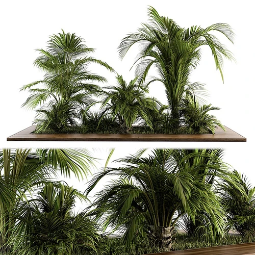 现代植物堆
