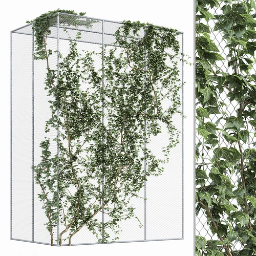 现代绿植藤曼