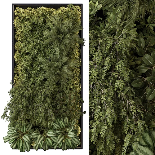 现代植物墙