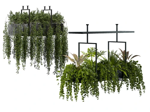现代吊篮植物盆栽