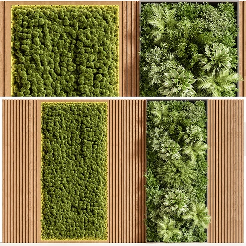 现代植物墙 绿植墙