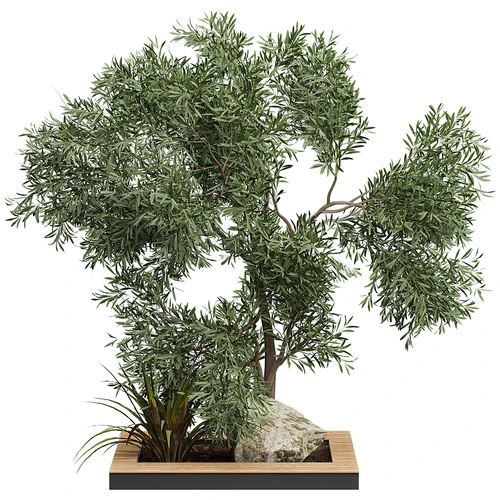 现代植物