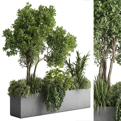 现代植物盆栽