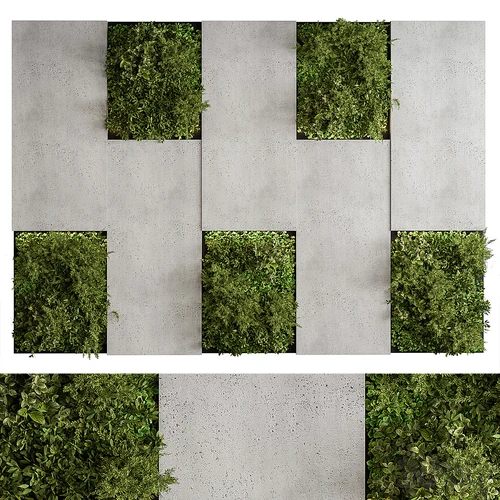 现代植物墙