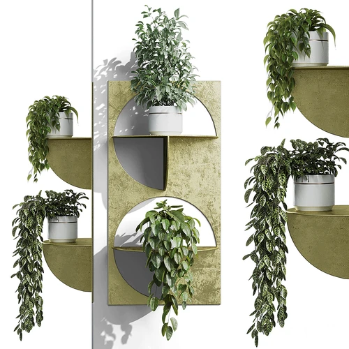 现代植物架