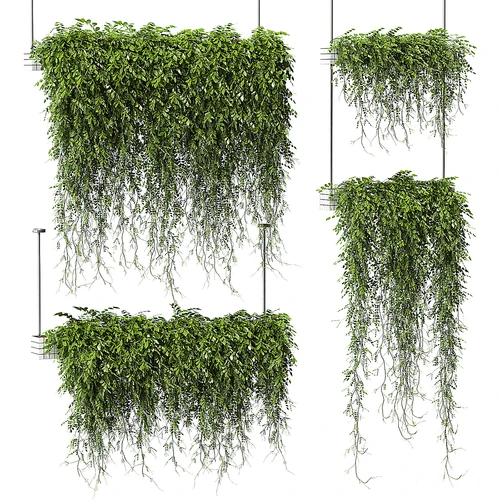 现代吊篮绿藤植物