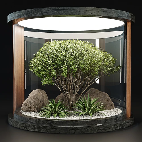 室内植物