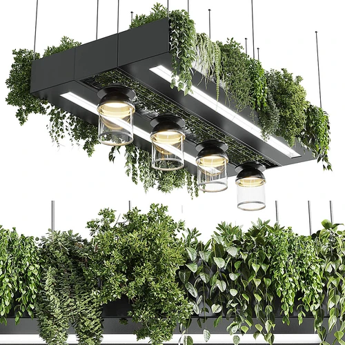 现代植物吊灯