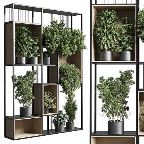 现代植物架