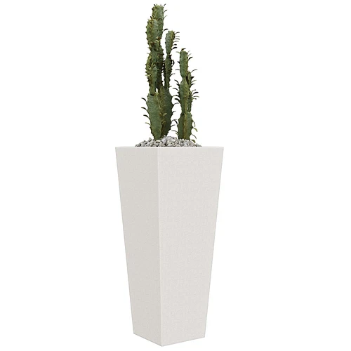现代植物盆栽仙人掌