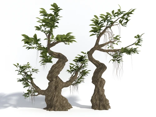 现代风格景观树