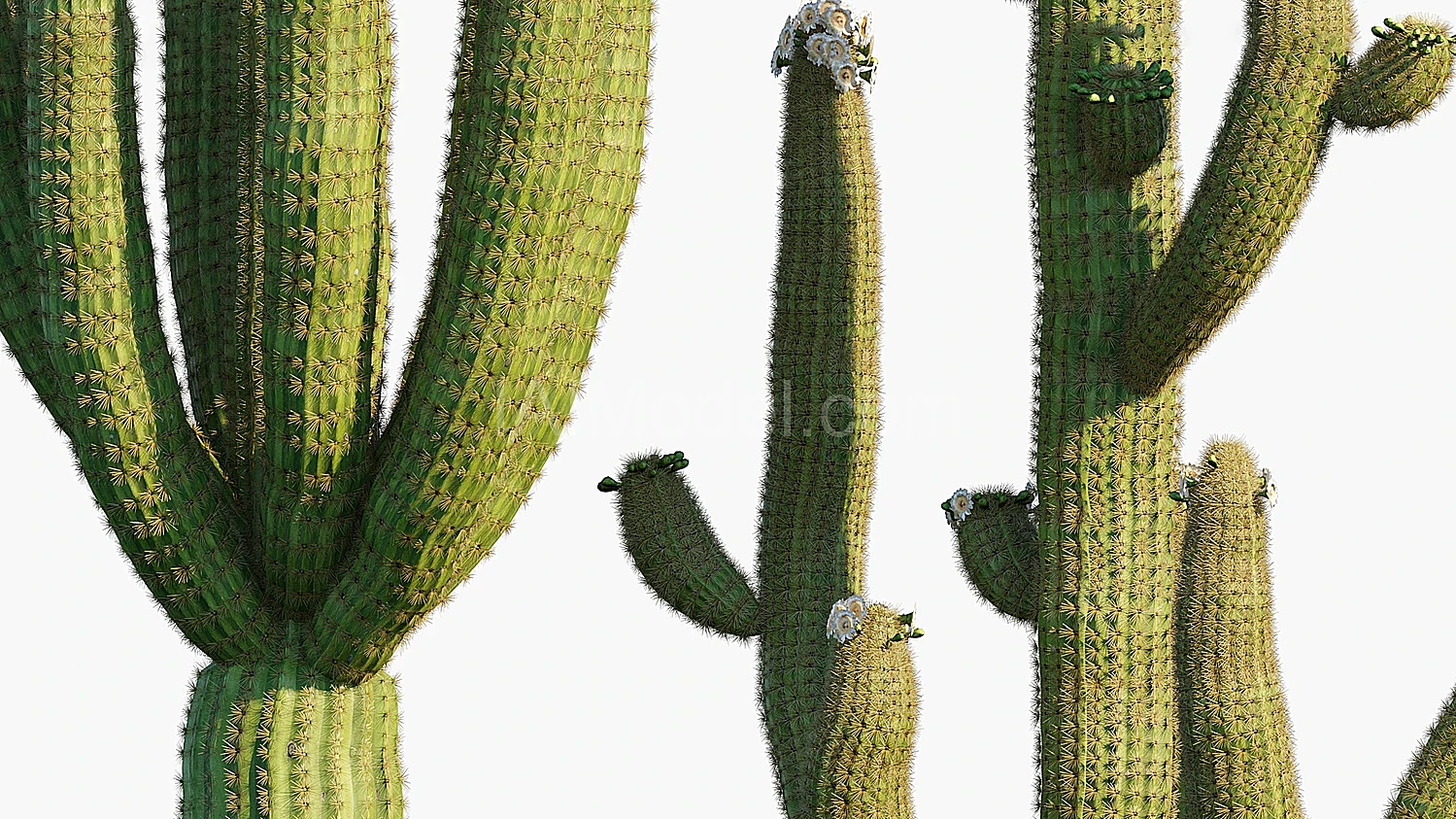 img2