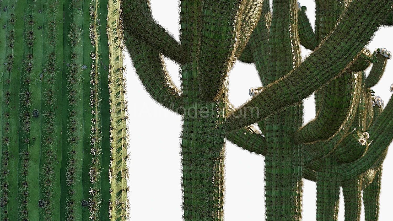img3