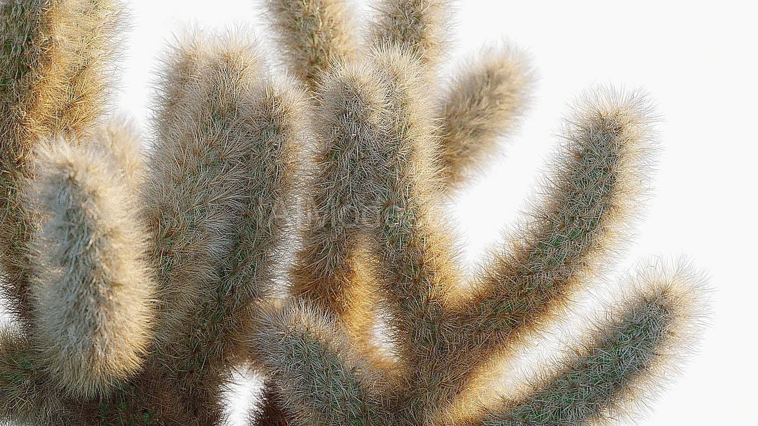 img3