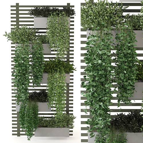 现代植物篮