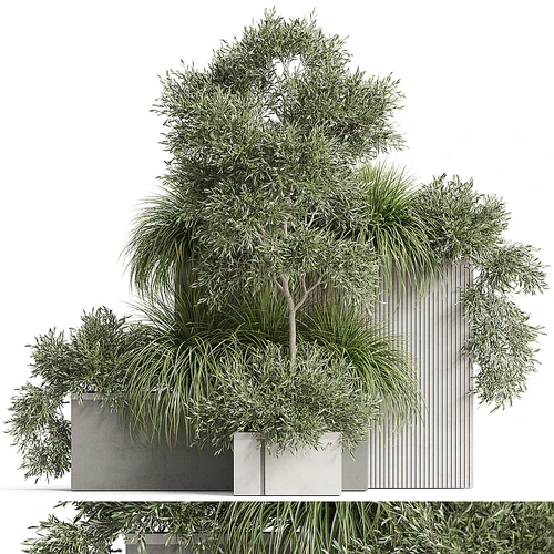 现代植物堆