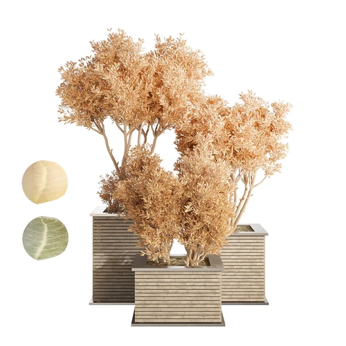 现代植物盆栽
